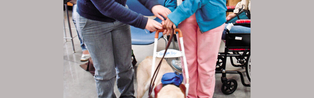 Close up of two people reaching for a guide dog harness