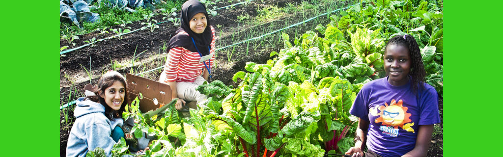 Safira gardening as a volunteer with other exchange students