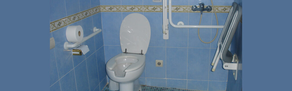 Accessible western style toilet with a grab bar and space next to the toilet where foldable mounted shower chair pulls down with handheld shower hose