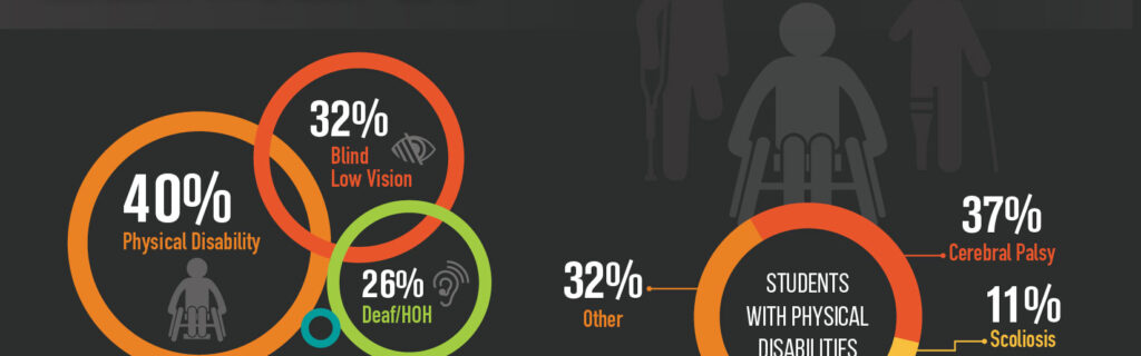 A portion of an infographic highlighting total percentage of FLEX and YES students by disability type.