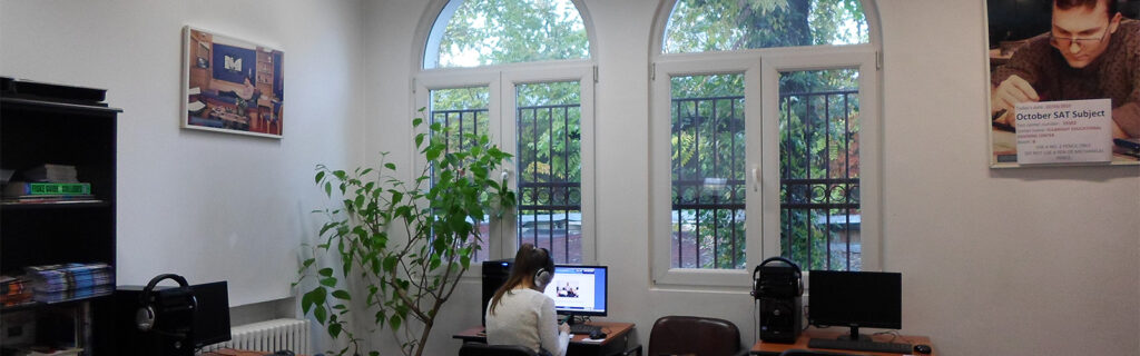 Woman sitting at a computer