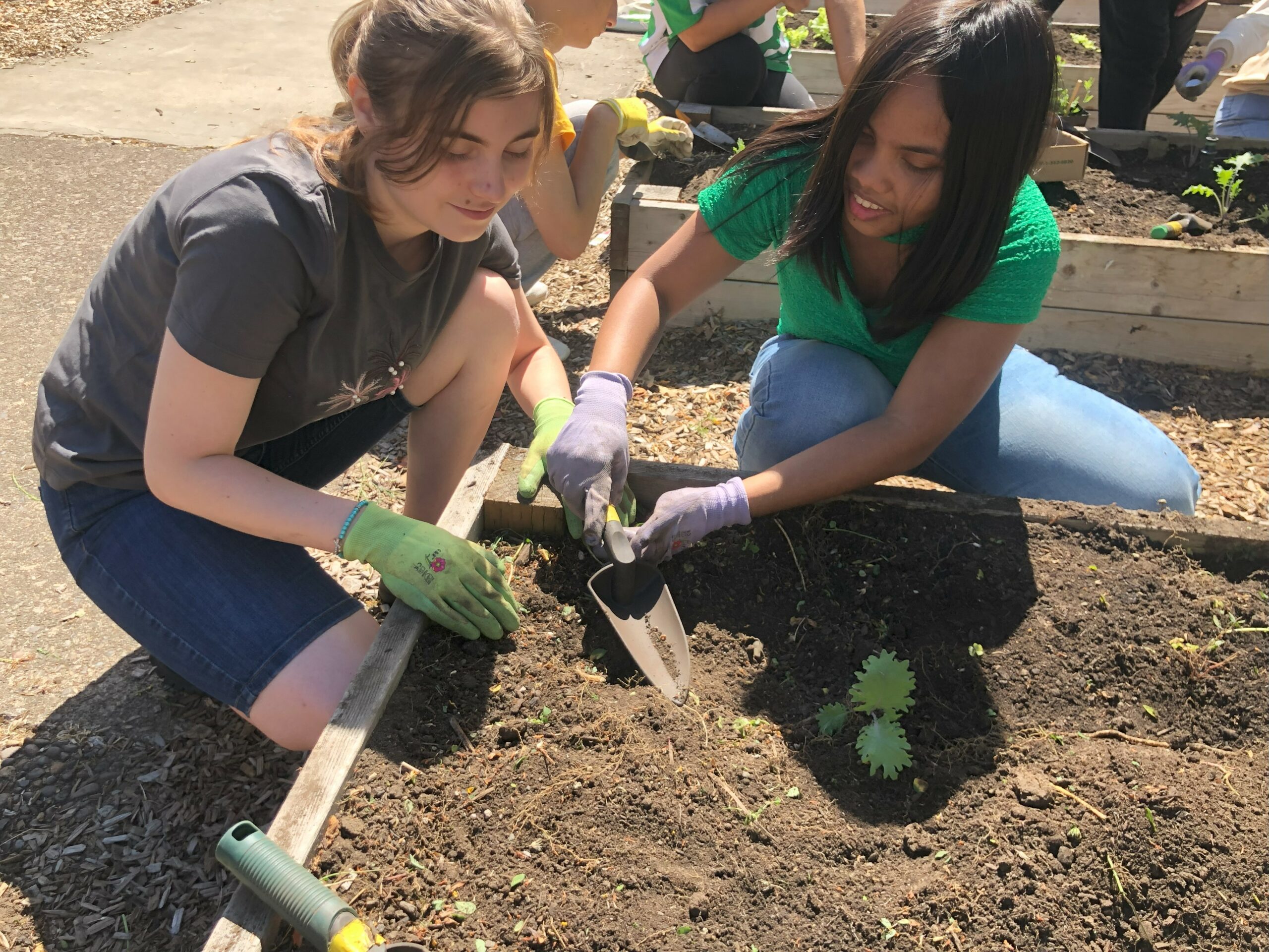 Two students kneel next to a garden bed filled with soil and a small plant. They are using a small tool to dig in the soil together.